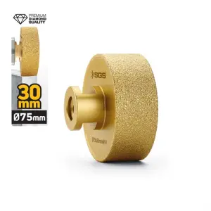 Vakum Elmas Tarama Diski 75X30 Mm